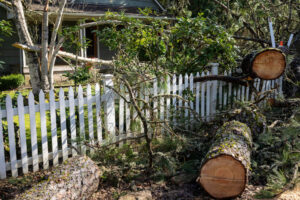 remove tree damaged fence