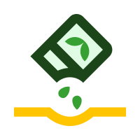Tree Assessments